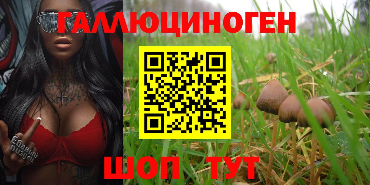 Псилоцибиновые грибы прущие грибы Михайловка