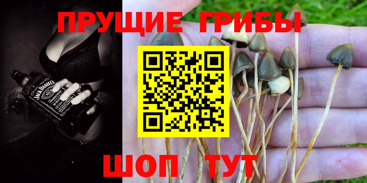 Псилоцибиновые грибы мухоморы  Вход с VPN  Михайловка  Галлюциногенные грибы Magic Shrooms 